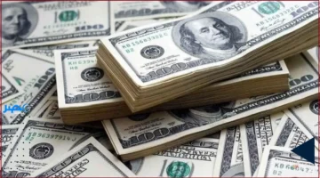 سعر الدولار يتراجع في منتصف تعاملات الخميس 13 نوفمبر 2025 وسط تقلبات السوق